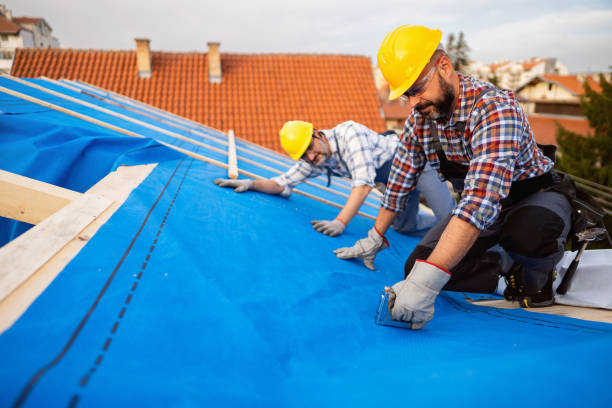 Best Emergency Roof Repair  in Powell, TN