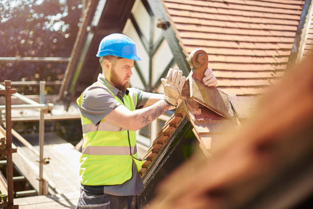 Best Storm Damage Roof Repair  in Powell, TN
